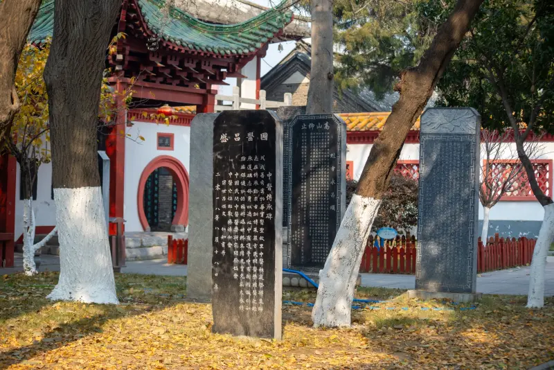 2025年企业级软件系统开发技术趋势与应用前景分析