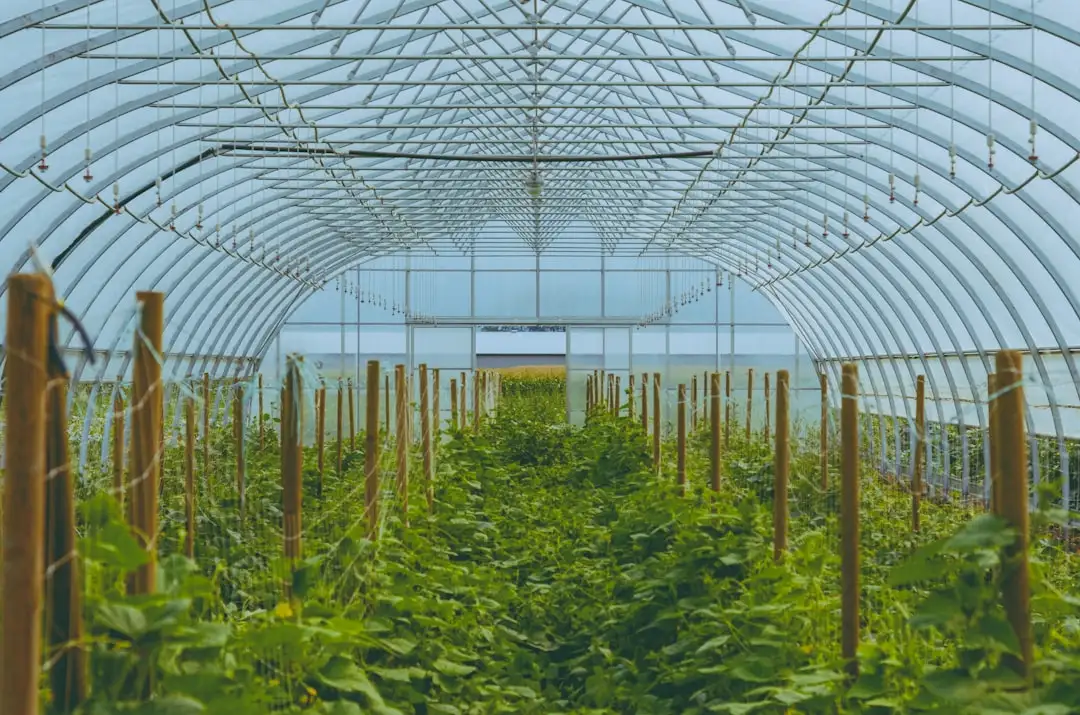 定制化软件系统开发流程解析：从需求到交付的关键技术环节