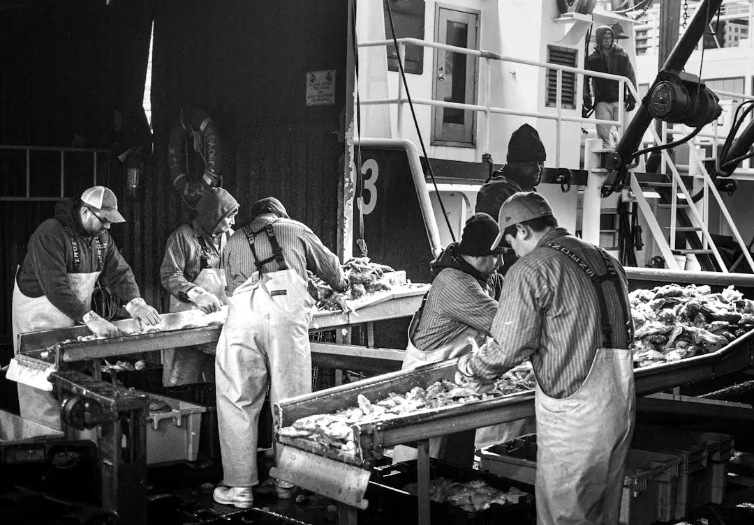 2025年软件系统开发技术趋势：开林科技个性化研发方案的优势